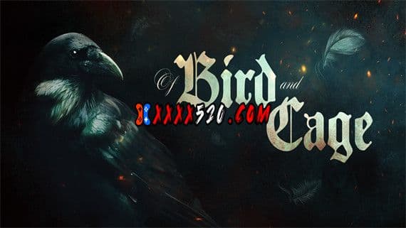 鸟与笼 PC 下载