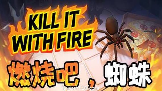 燃烧吧，蜘蛛/Kill It With Fire PC 下载