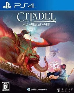 城塞:火焰之炼 PS4 下载