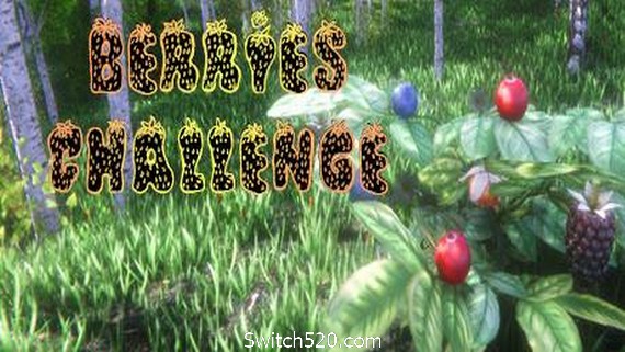 浆果挑战赛/Berries Challenge PC 下载