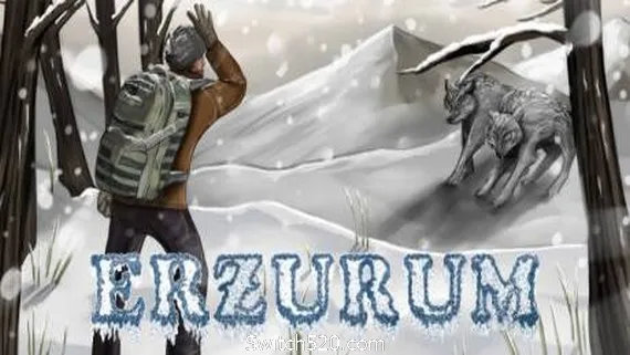 埃尔祖鲁姆/Erzurum PC 下载