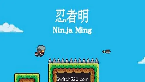 忍者明 PC 下载