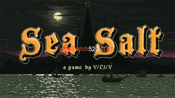 海盐 Switch 下载