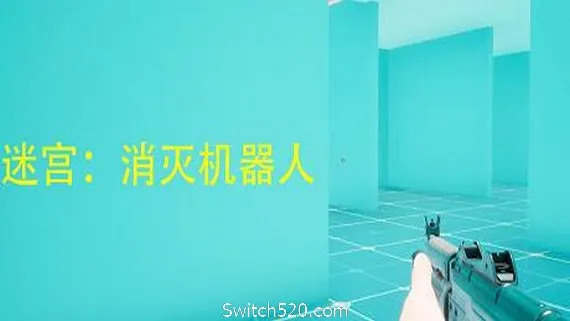 迷宫:消灭机器人 PC 下载