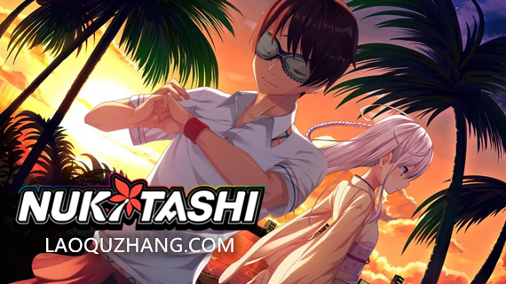 突击 NUKITASHI PC 下载