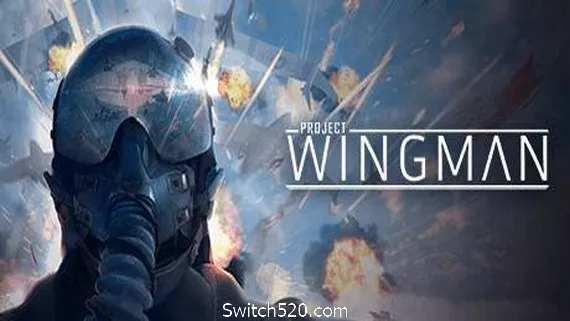 僚机计划/Project Wingman PC 下载