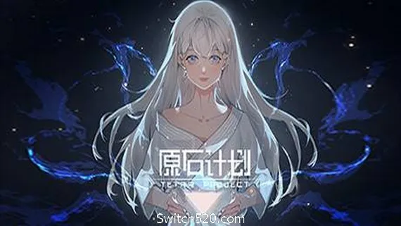 原石计划/Tetra Project PC 下载