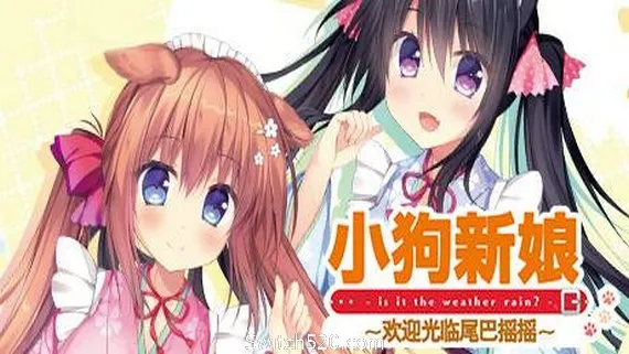 小狗新娘~欢迎光临尾巴摇摇 PC 下载