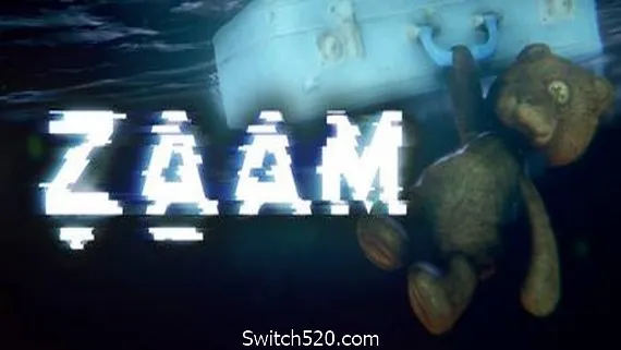 ZAAM PC 下载