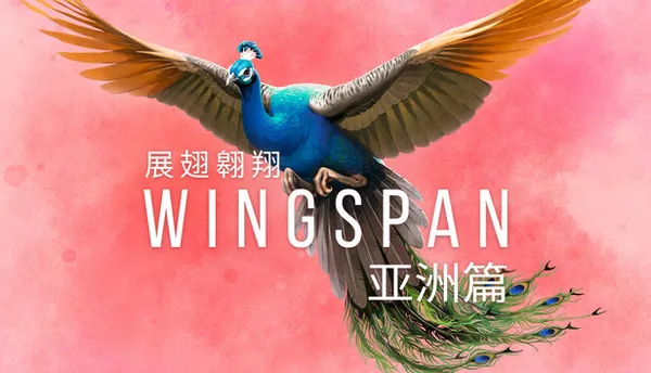 展翅翱翔 PC 下载